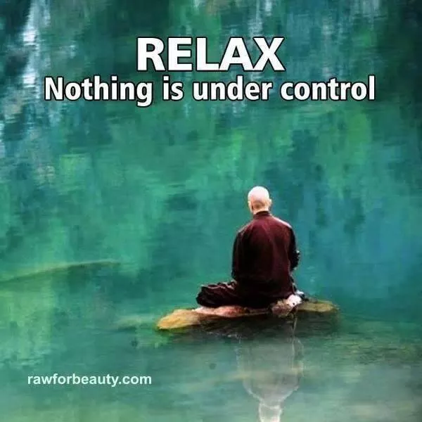 nothing-is-under-control.jpg nothing-is-under-control.jpg