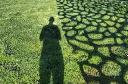 Shadow.jpg