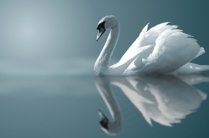 canstockphoto3092.jpg